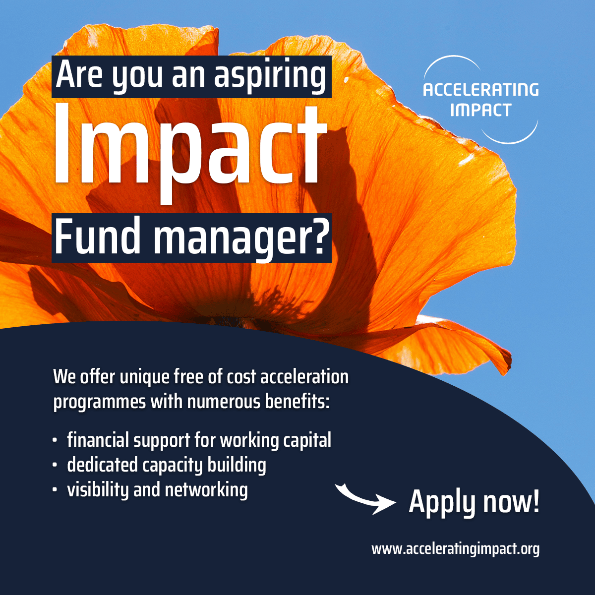 ICFA and ISFA programmes: apply until 11 October 2026